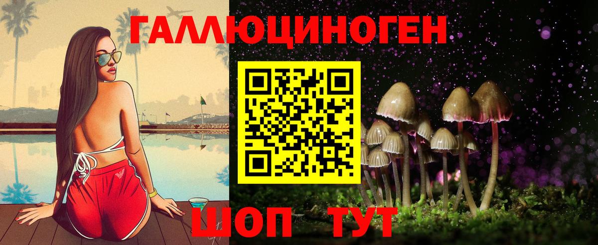 Псилоцибиновые грибы GOLDEN TEACHER  где продают   Реж  Вход с VPN 